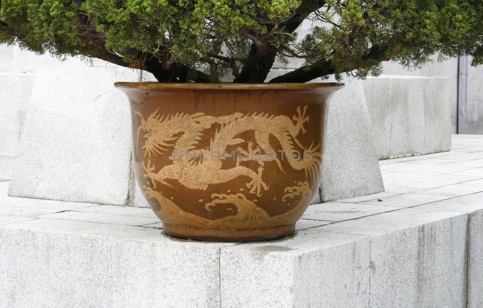 Flower pot with Chinese dragons