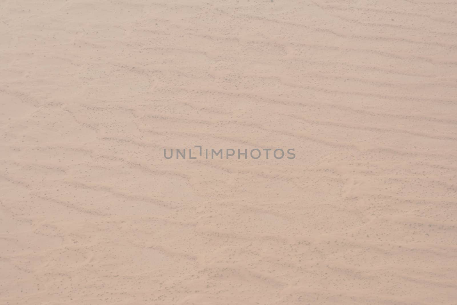 desert as a background