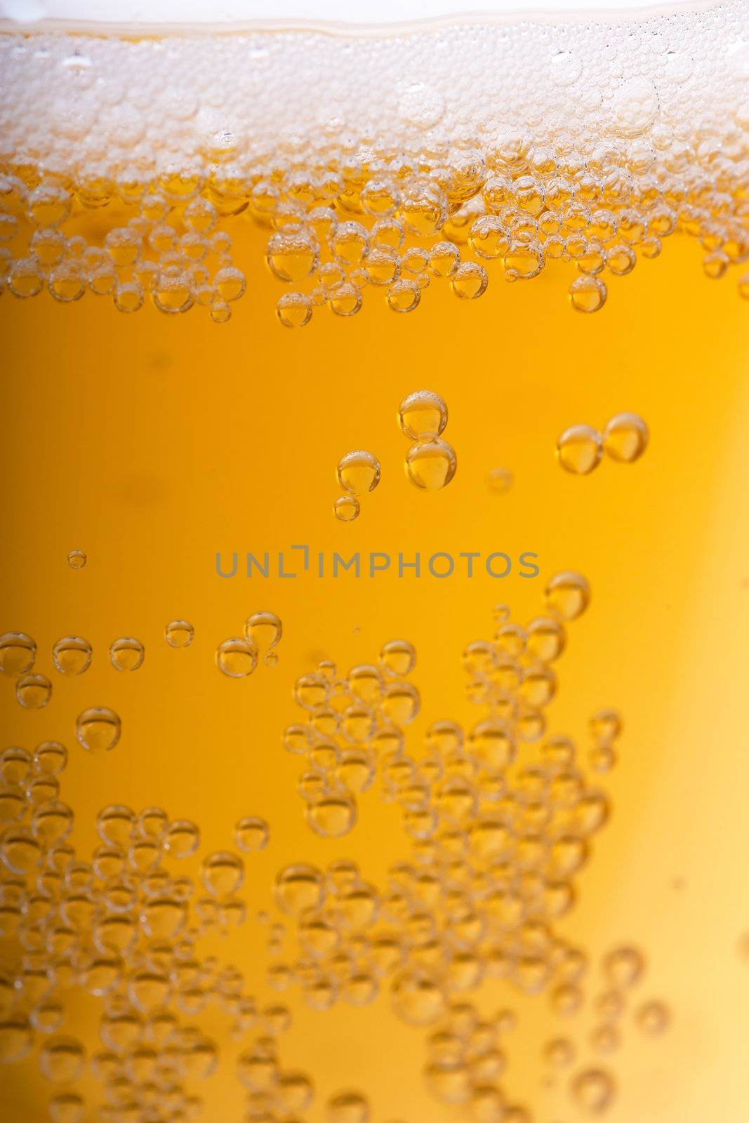 Orange beer with bubbles and white froth background. Closeup view.