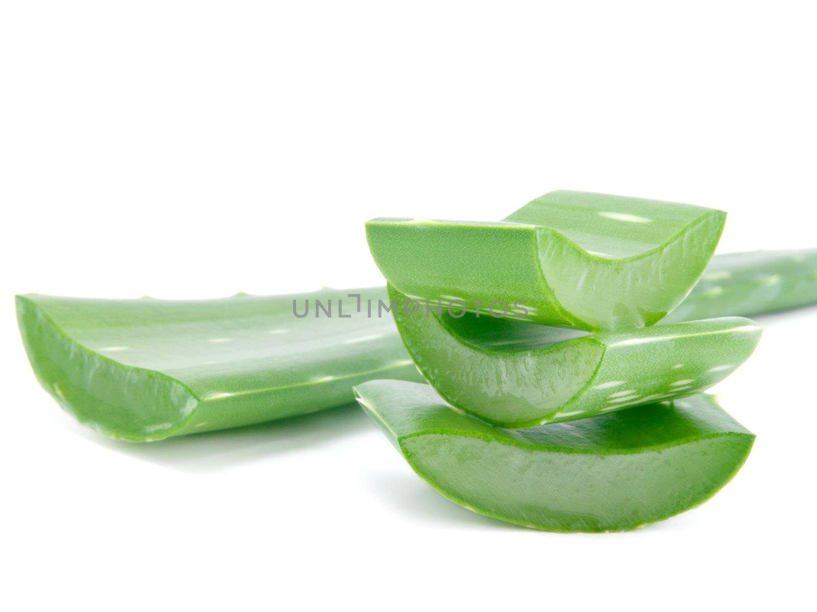 Sliced aloe leaves isolated on white background 