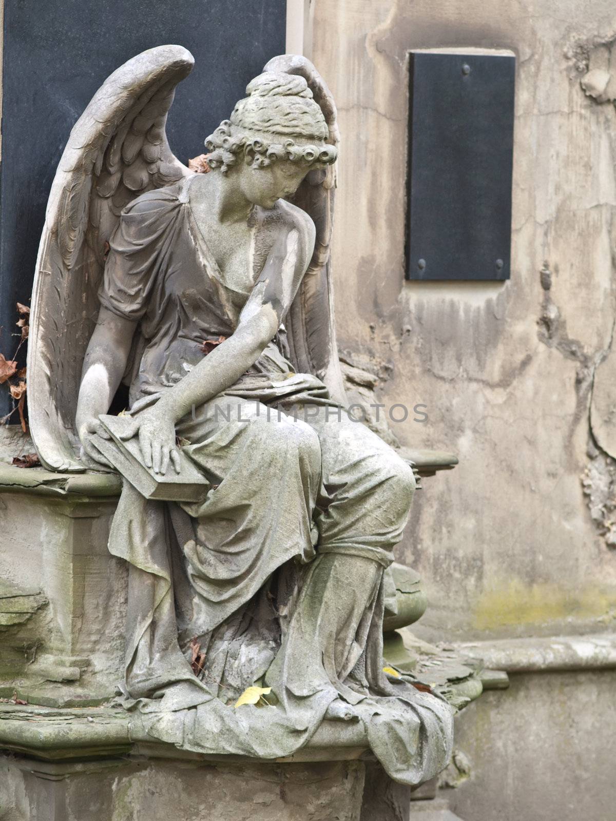 angel statue  by motorolka