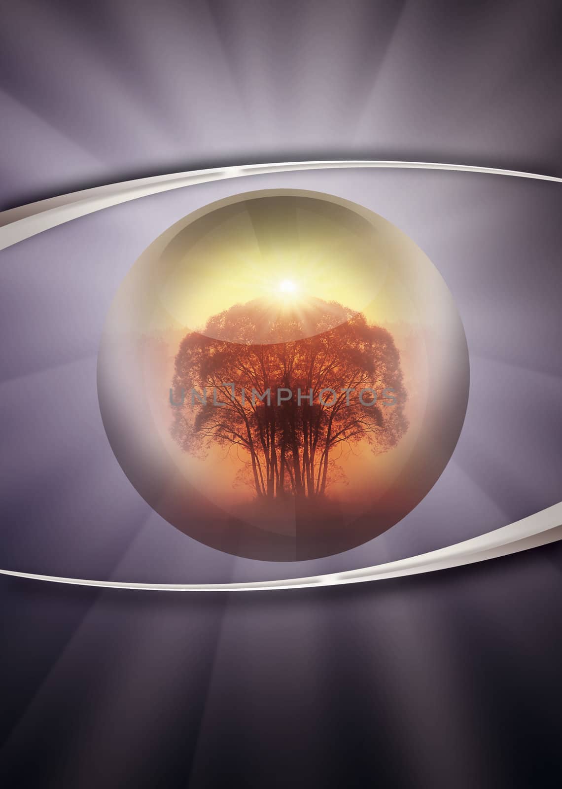 abstract illustration of the human eye with tree in the view