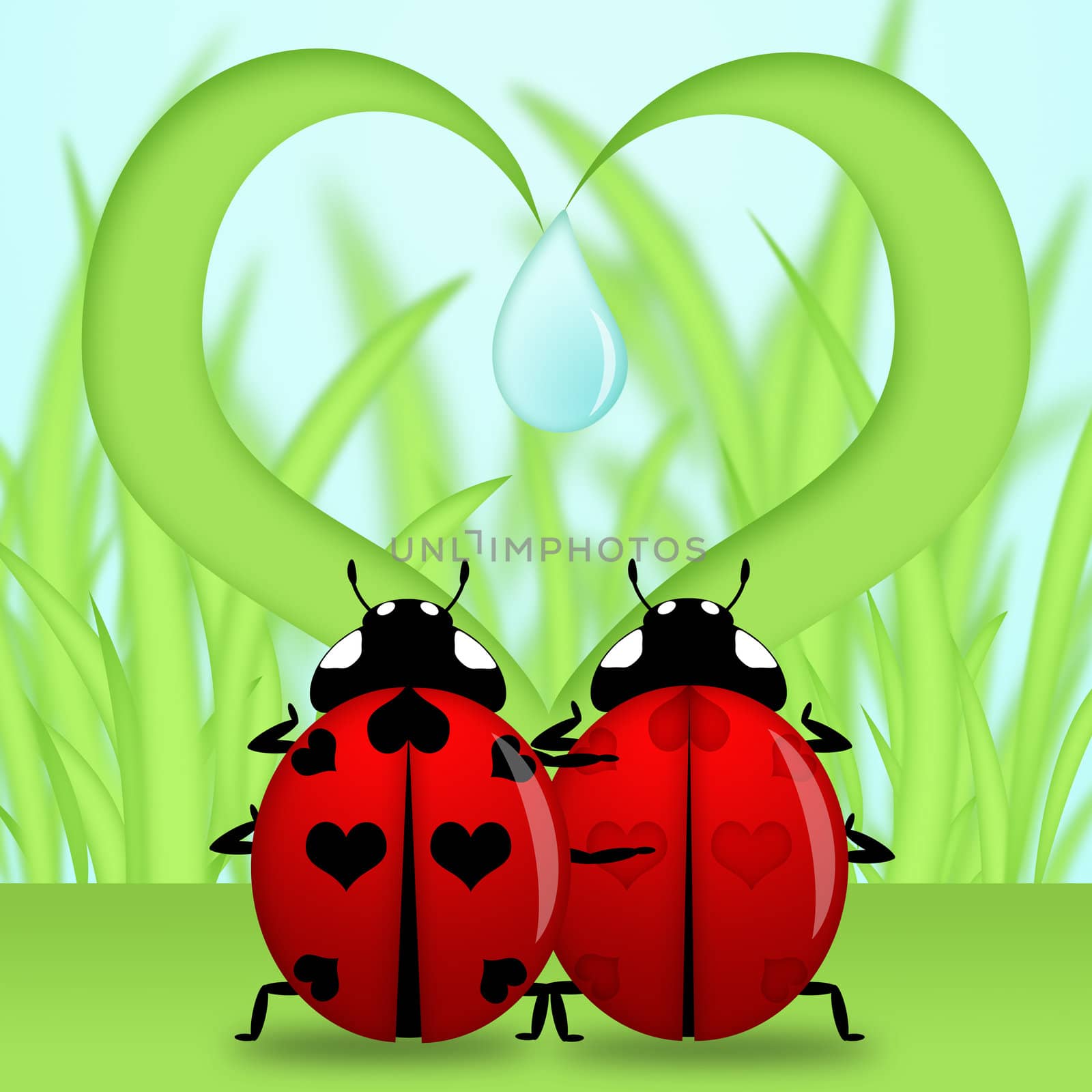 Red Ladybug Couple Under Heart Shape Grass Illustration