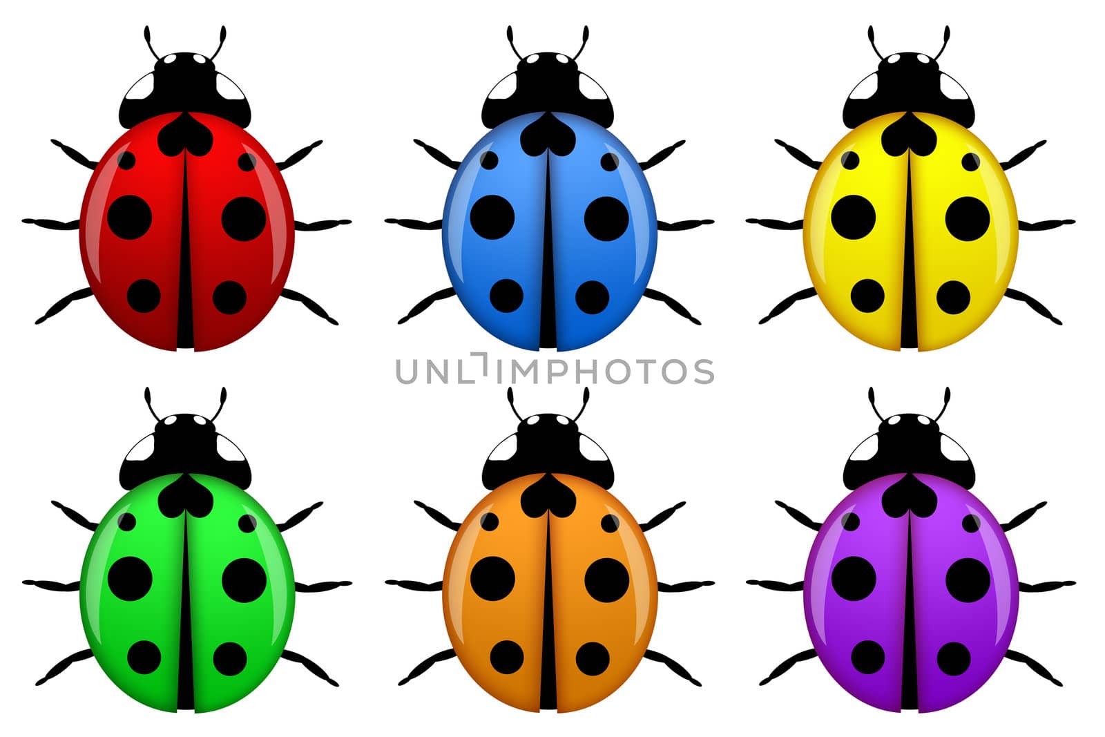 Ladybugs in Different Colors Isolated by Davidgn