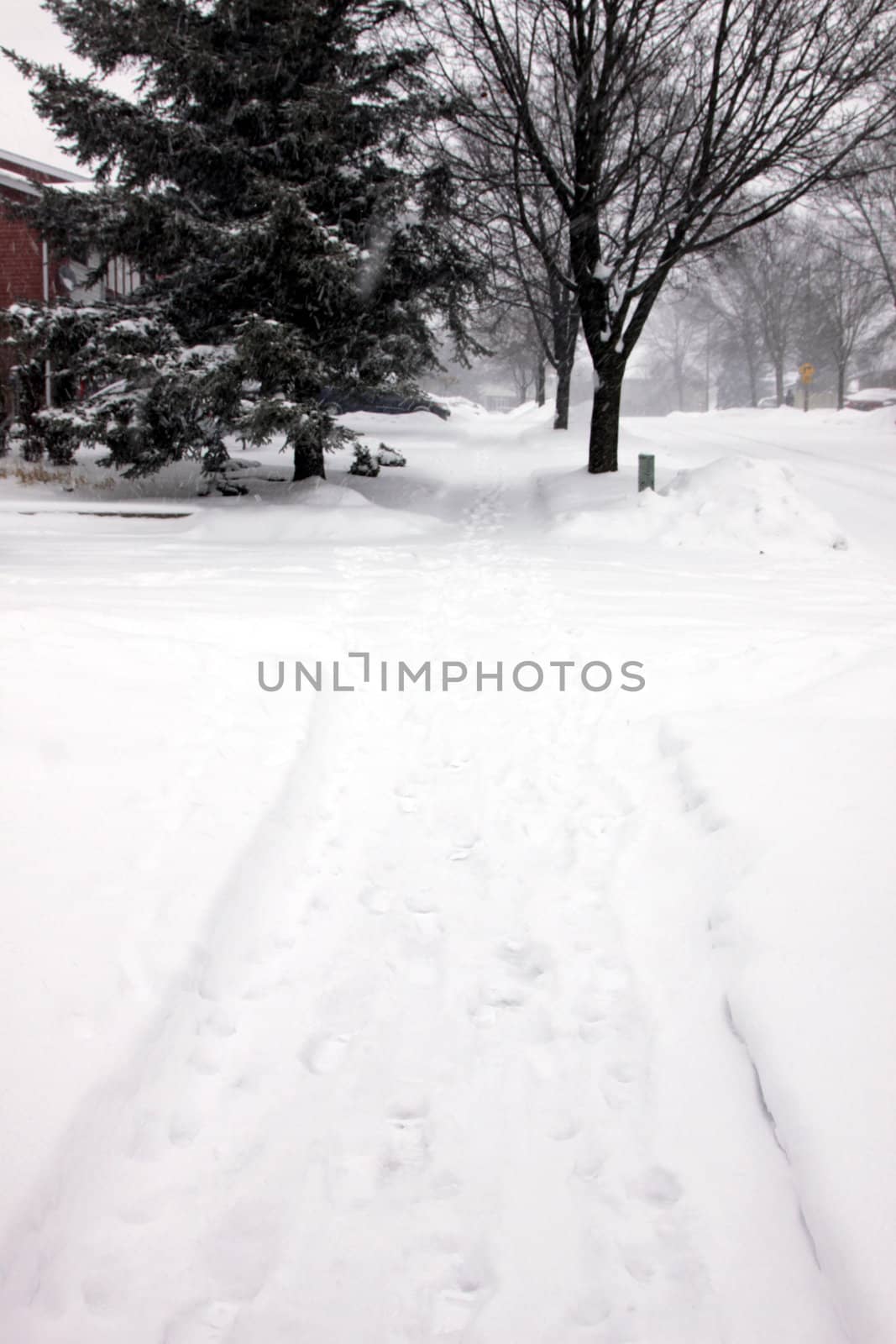 A fresh snow fall in the suburbs, featuring snow covered side walk with a single set of footprints.

