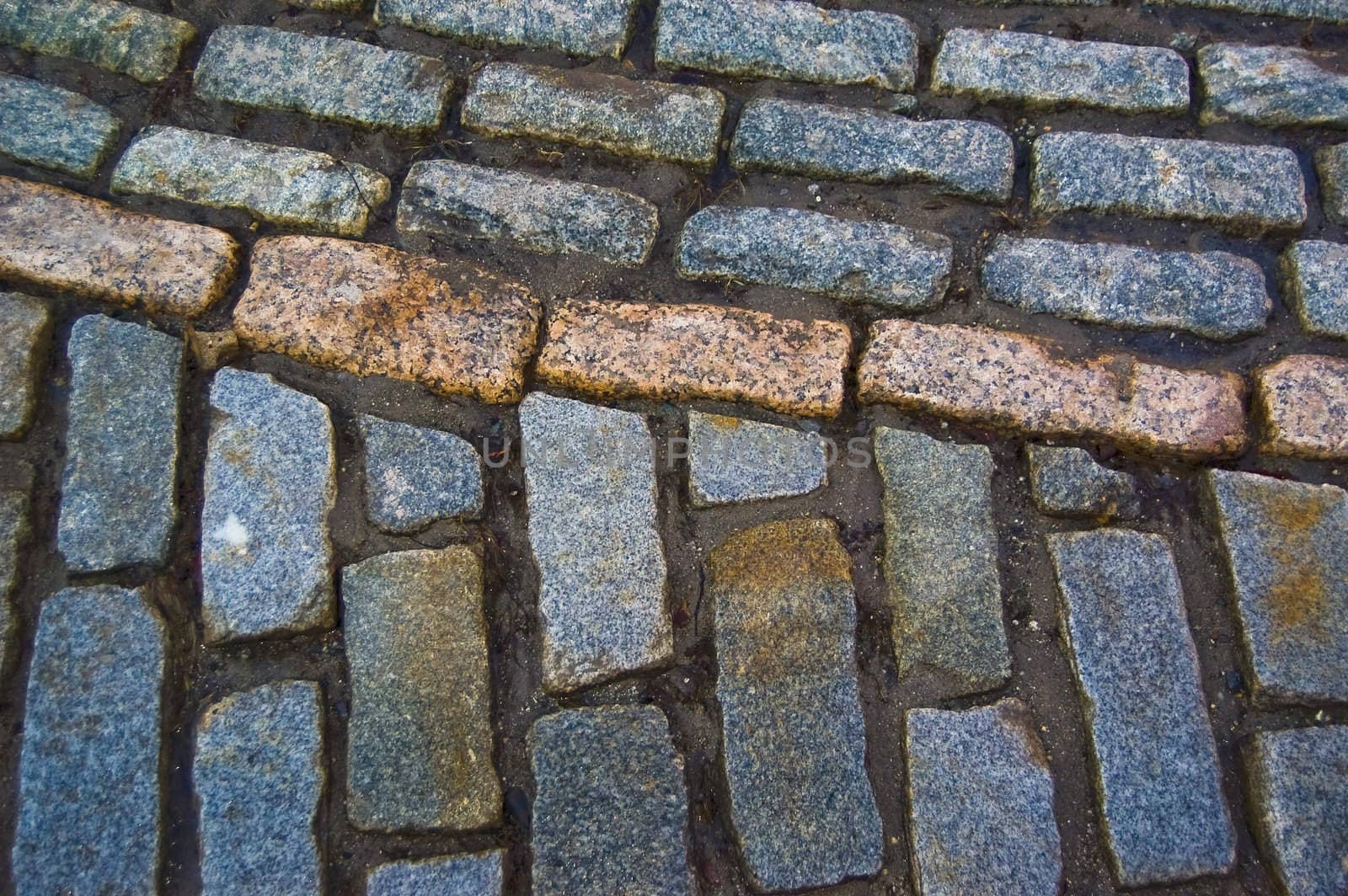 old brick road in the city of Portland Maine