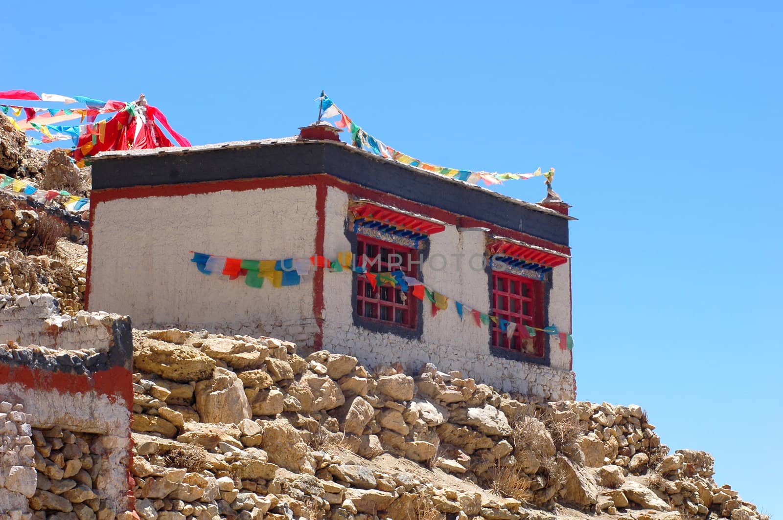 View of typical Tibetan buildings on the hills