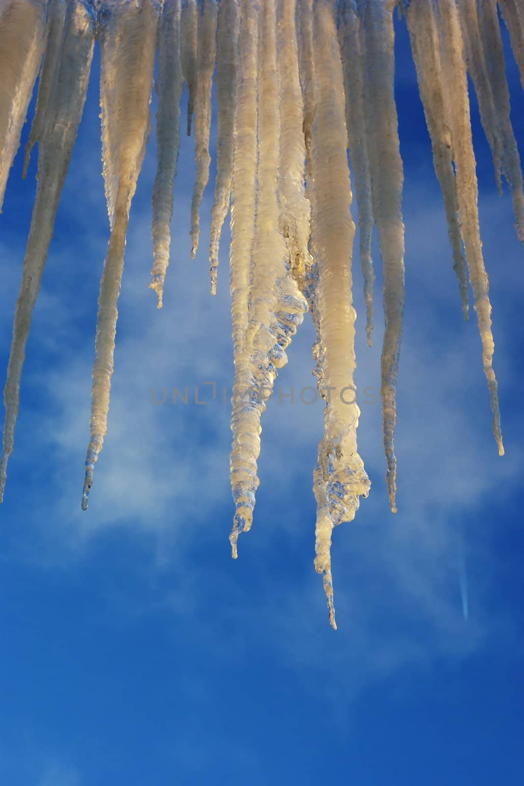 Icicles on the roof by Vitamin