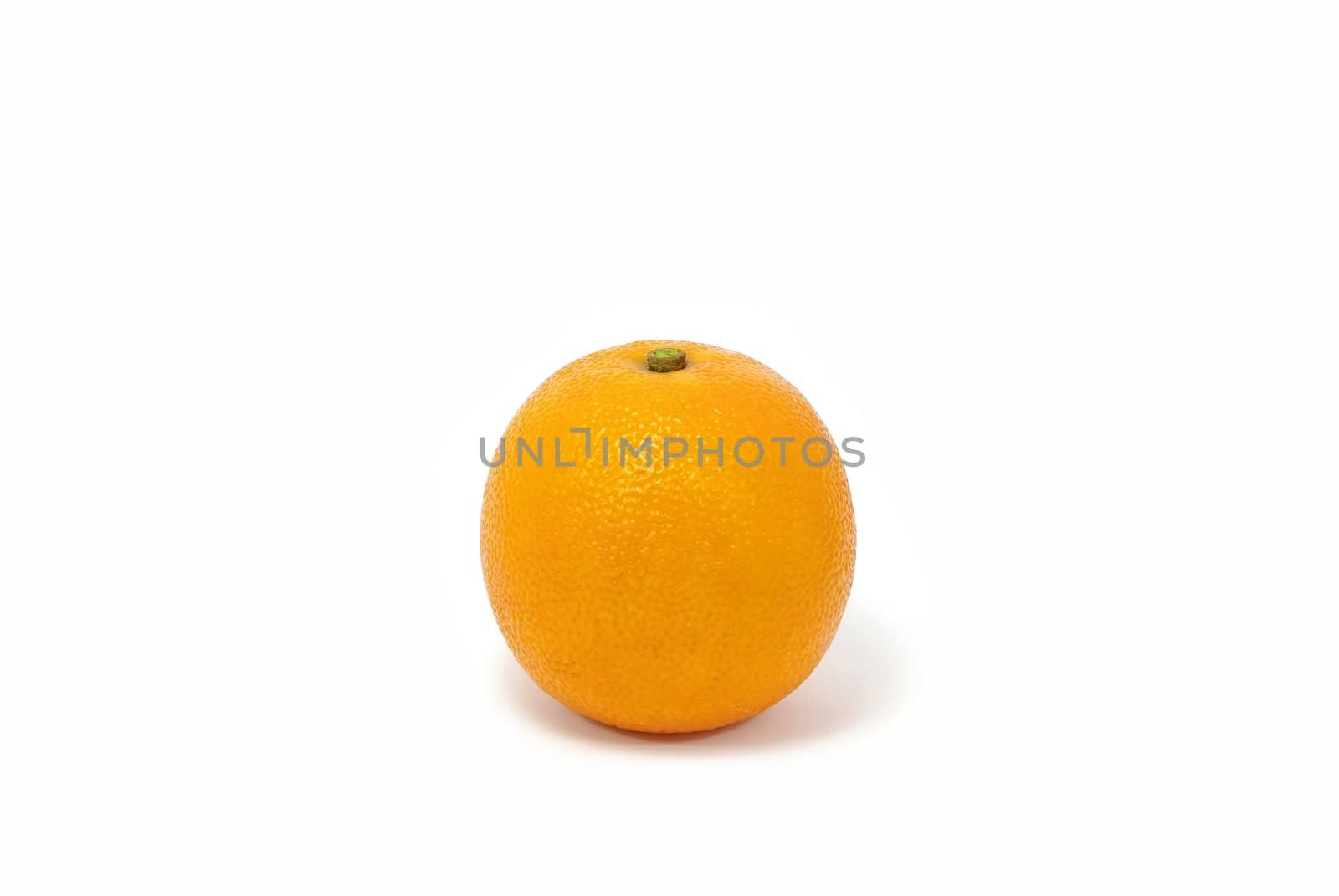 Single fresh orange