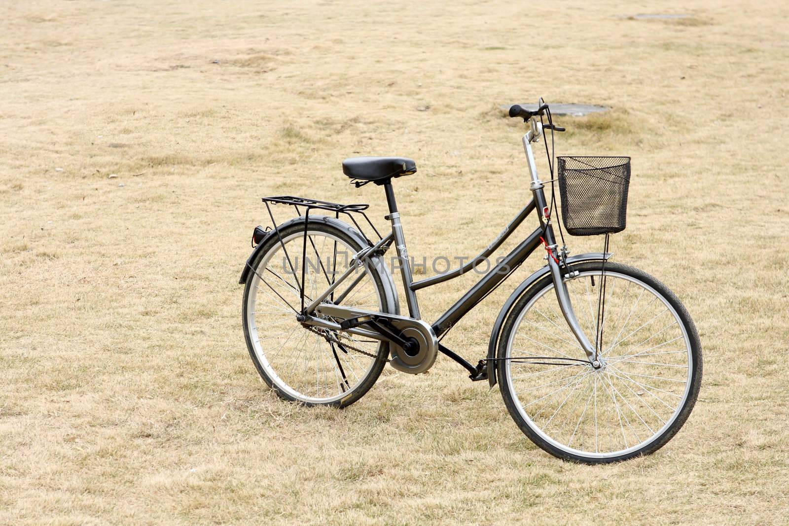 Bicycle on gass field
