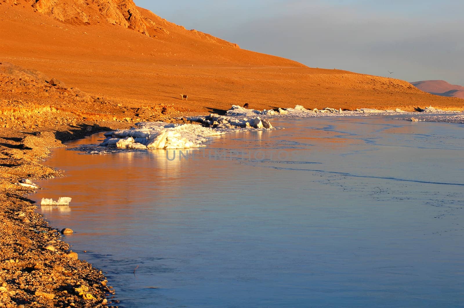 View of golden lakeside at sunrise in Tibet
