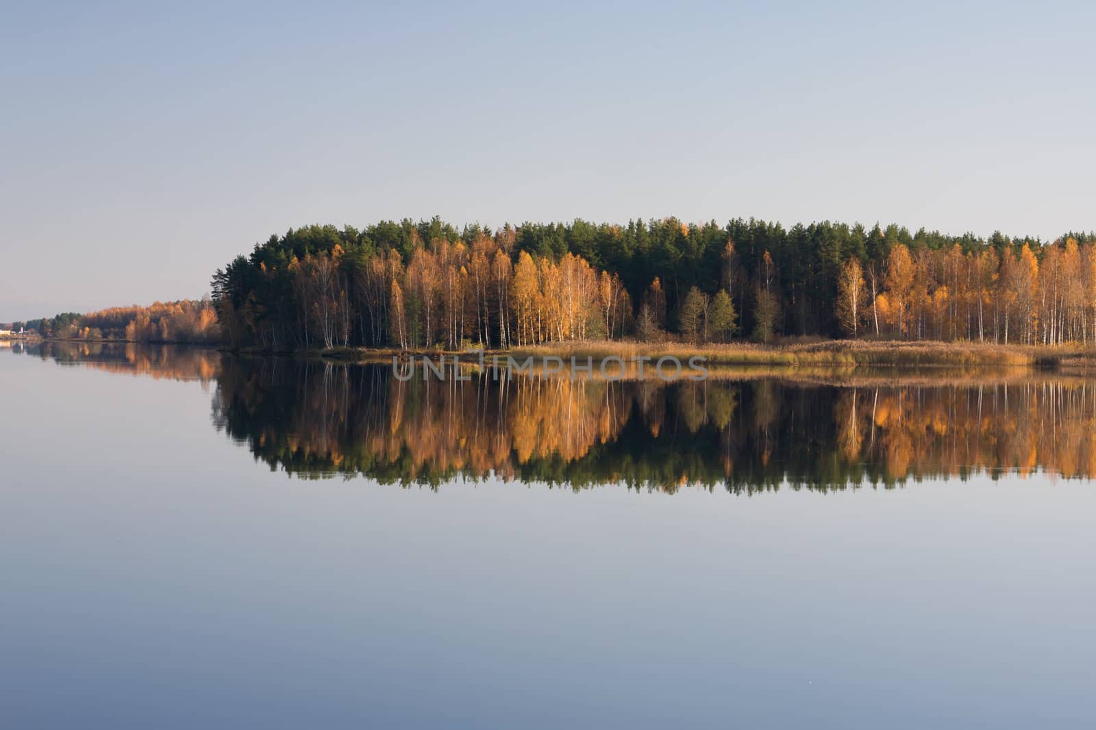 Autumn