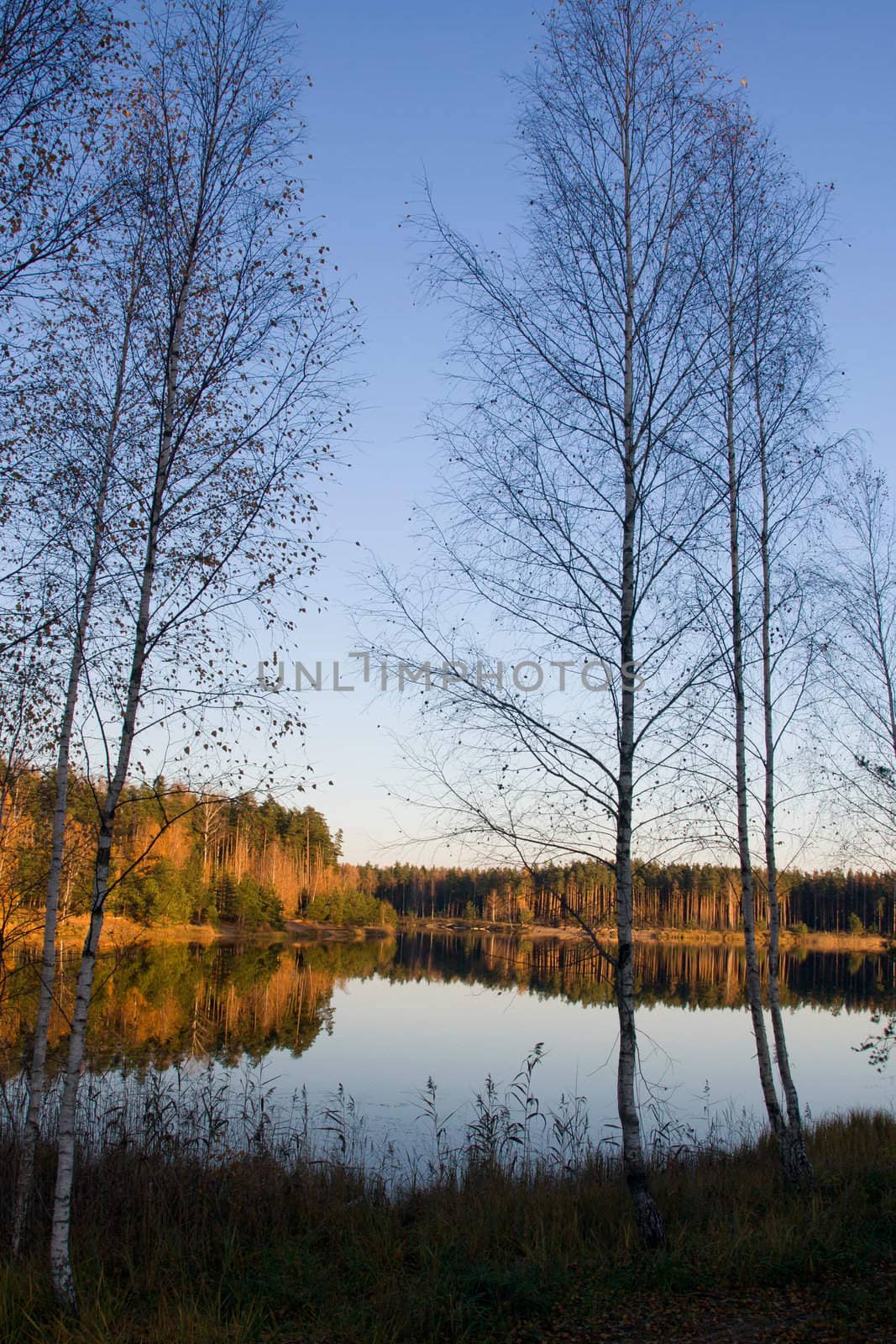 Autumn