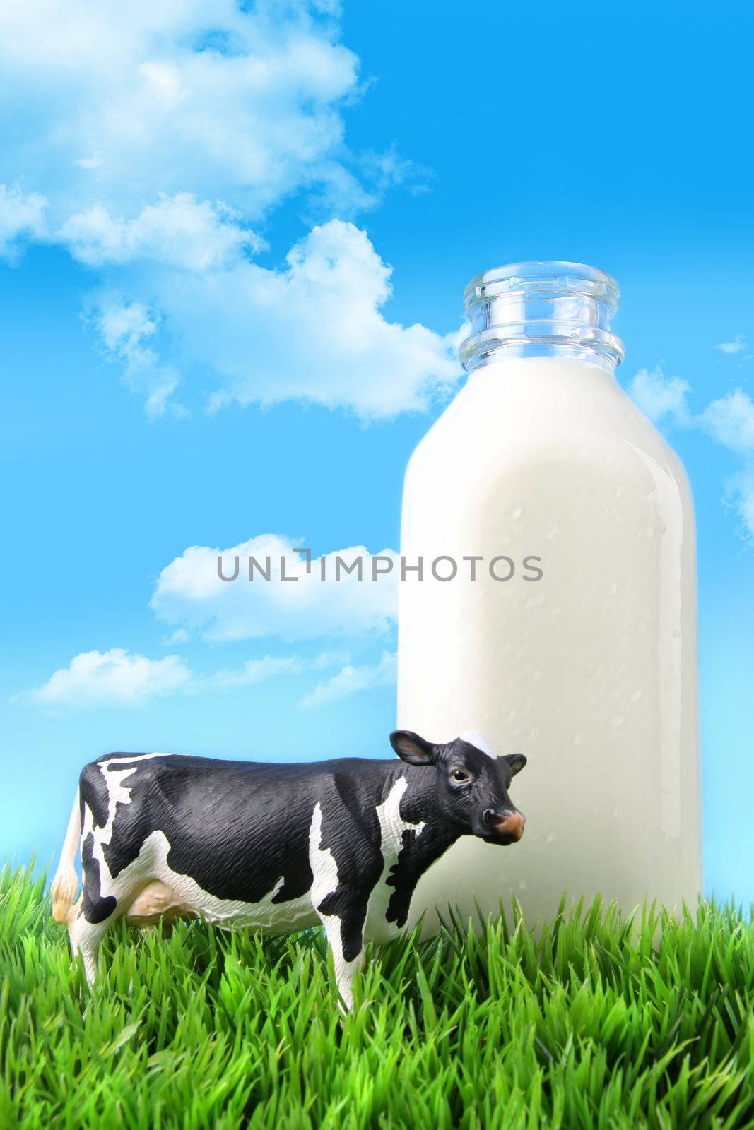 Milk bottle in the grass with blue sky