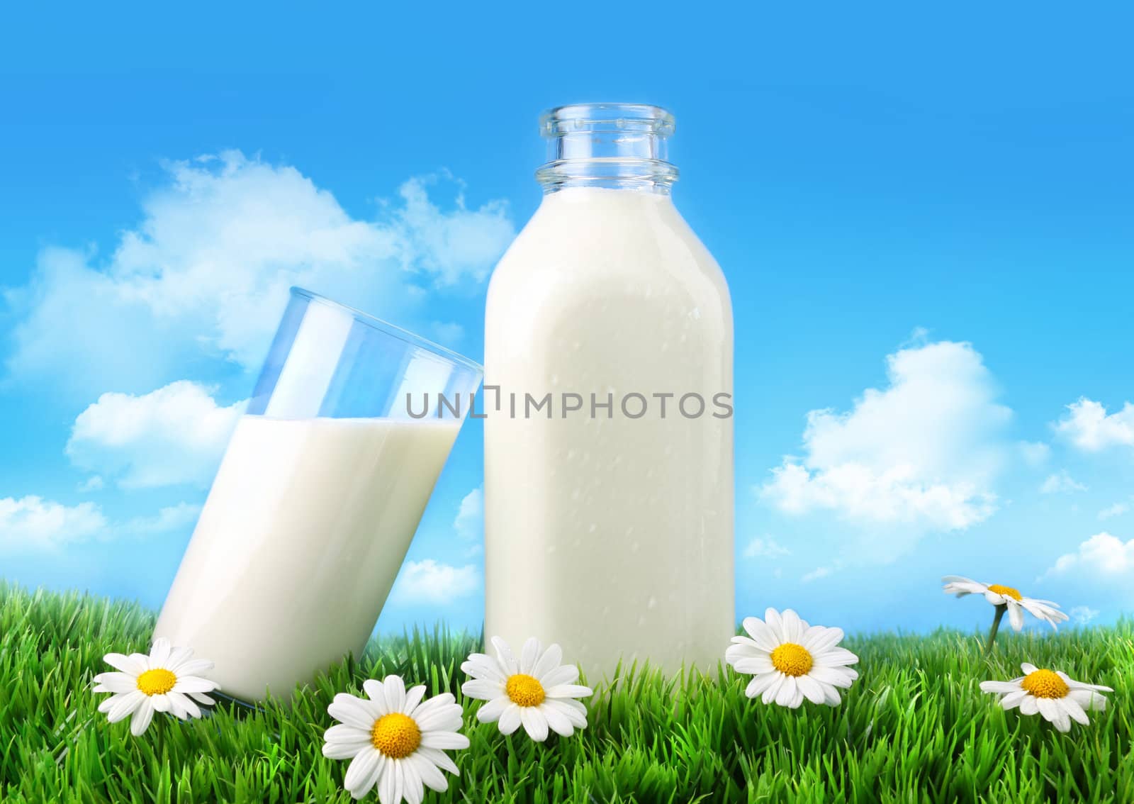 Bottle and glass of milk with grass and daisies  by Sandralise