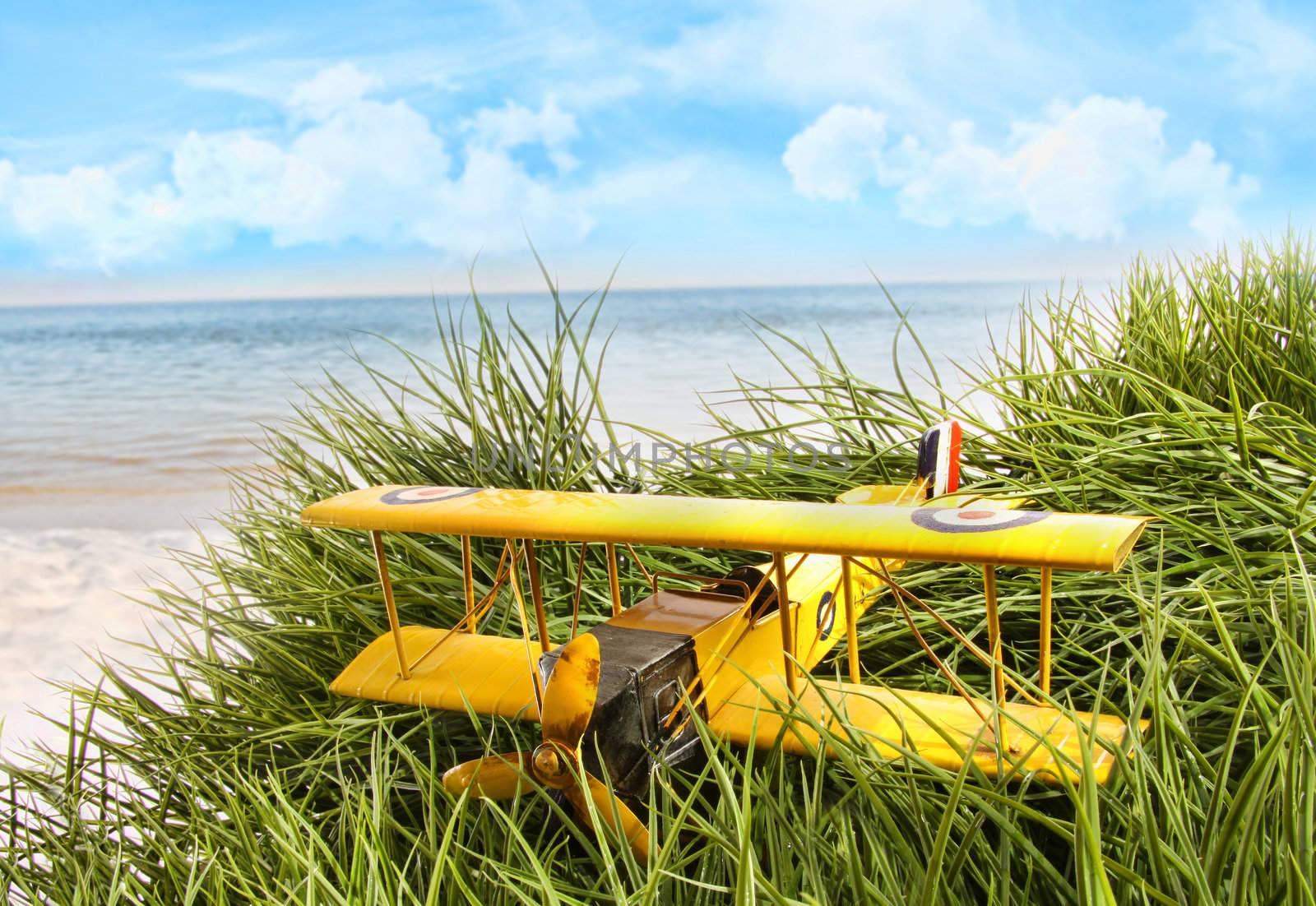 Vintage yellow toy plane in tall grass at the beach