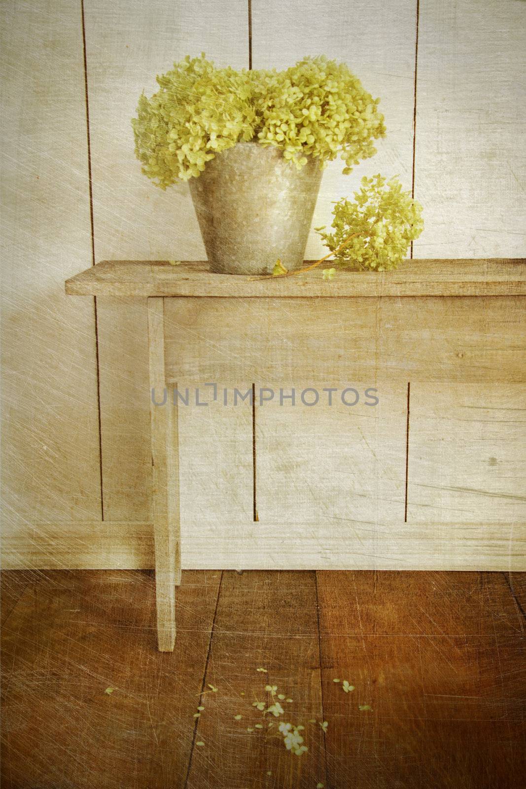 Hydrangea flowers in bucket on rustic bench with age vintage look