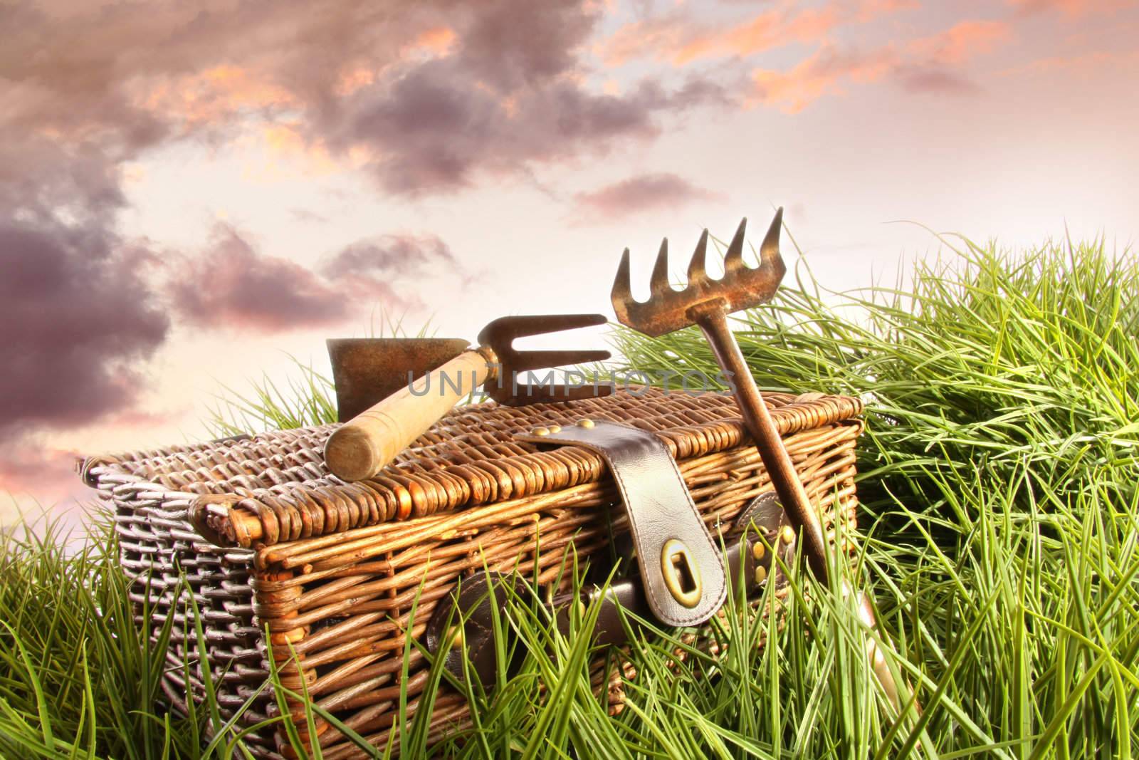 Wicker basket with garden tools in grass