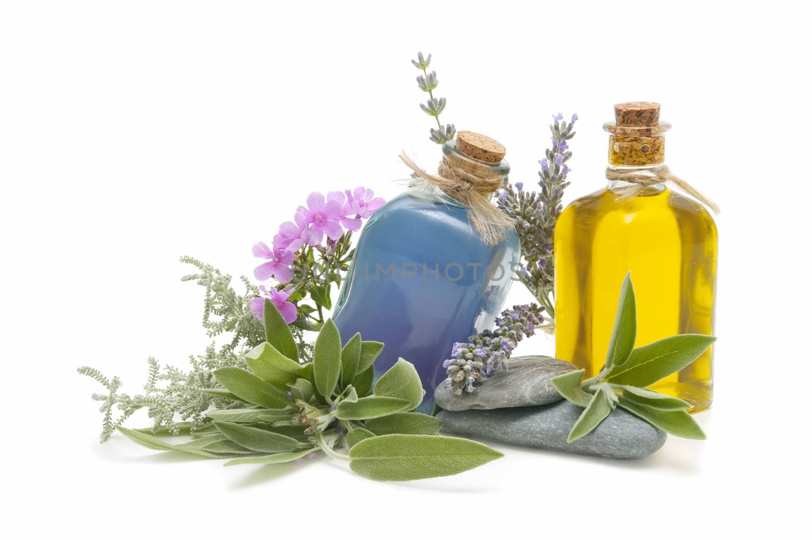 spa still life with perfumes and aromatic herbs
