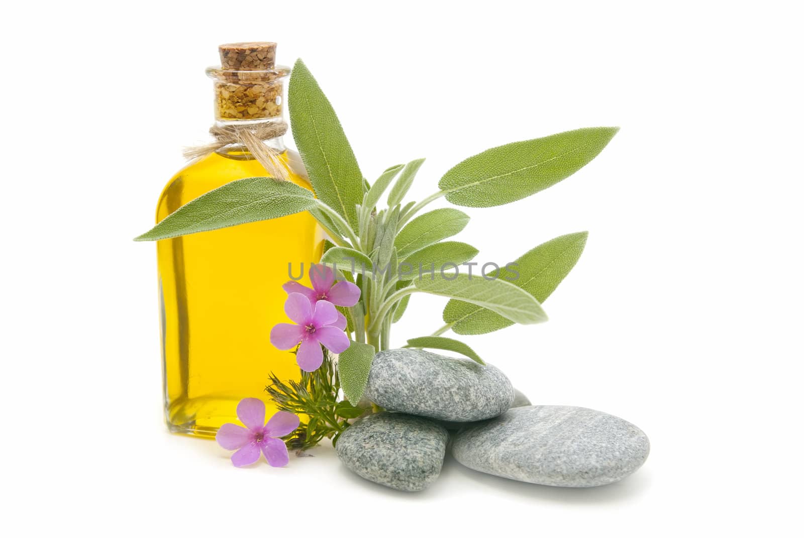 spa still life with perfumes and aromatic herbs
