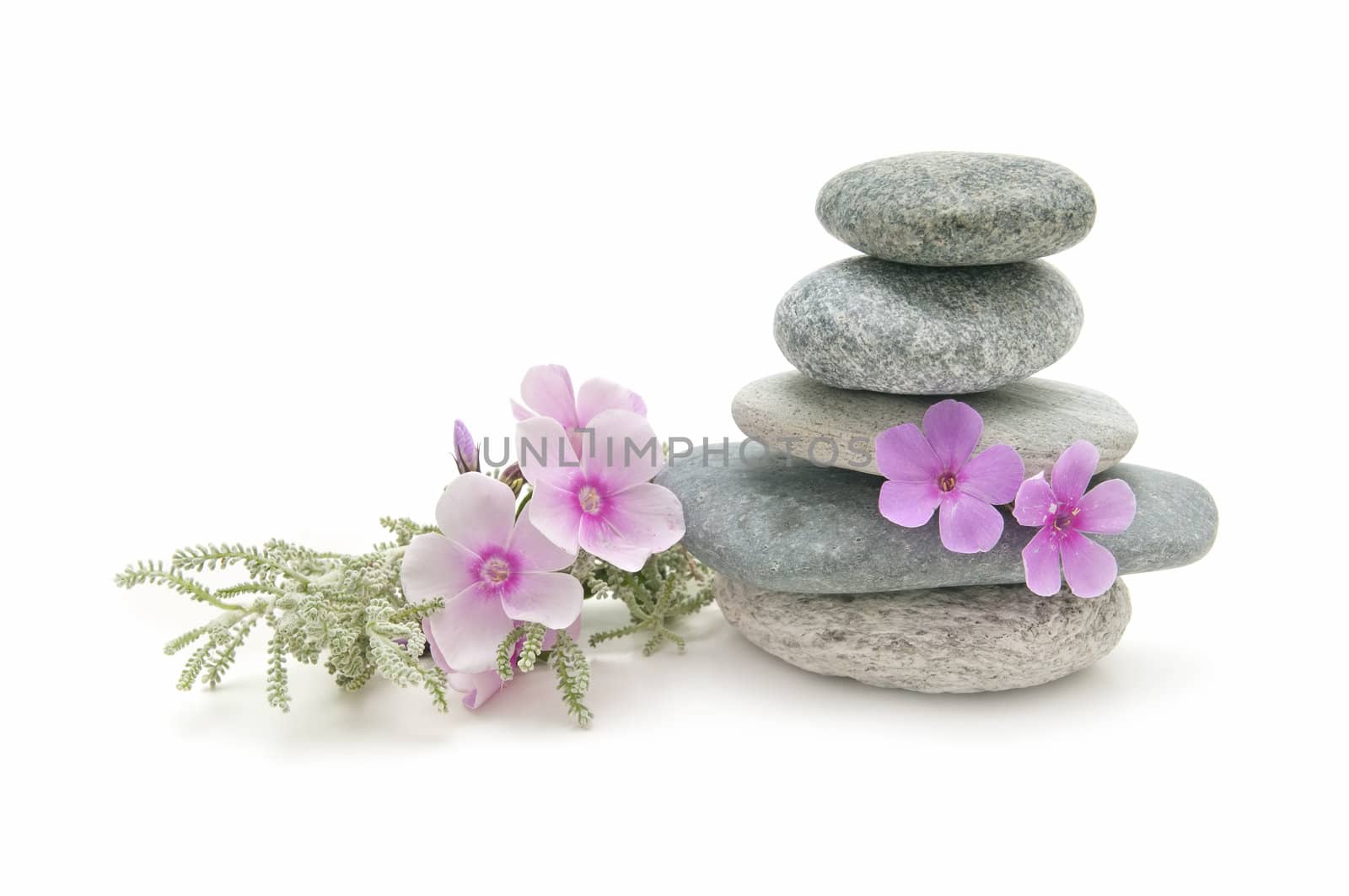 spa still life with perfumes and aromatic herbs
