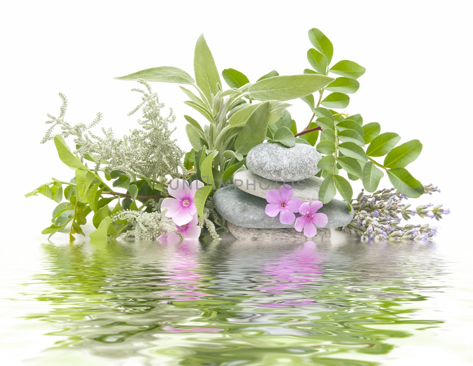 spa treatment with natural herbs and essences
