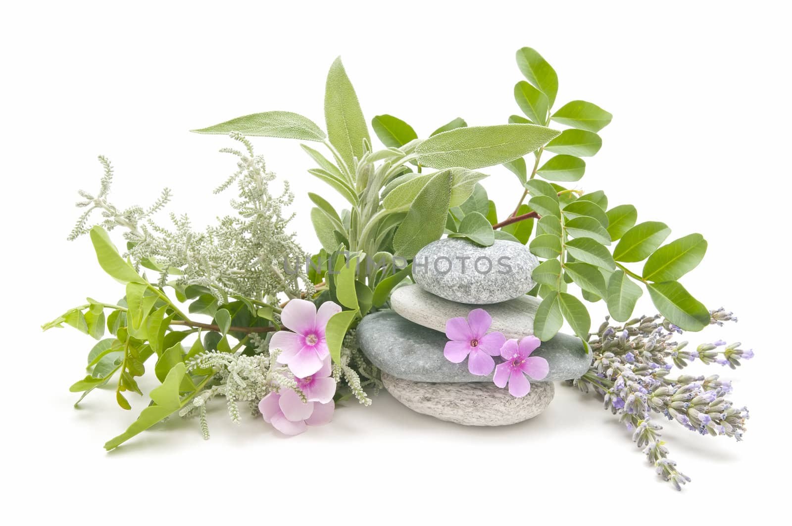 spa still life with perfumes and aromatic herbs
