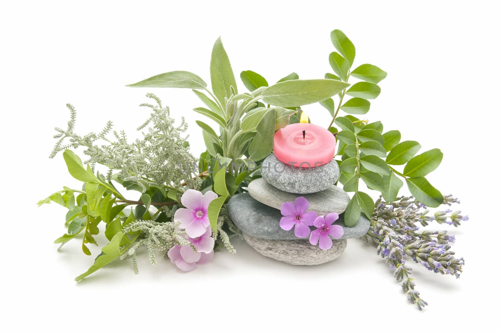 spa still life with perfumes and aromatic herbs
