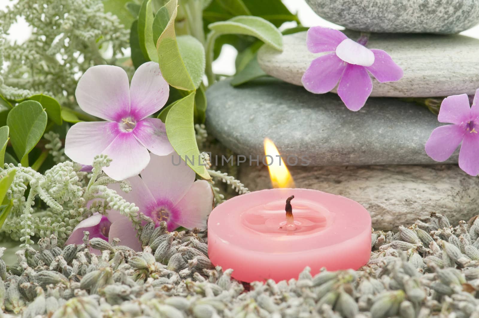 spa still life with perfumes and aromatic herbs
