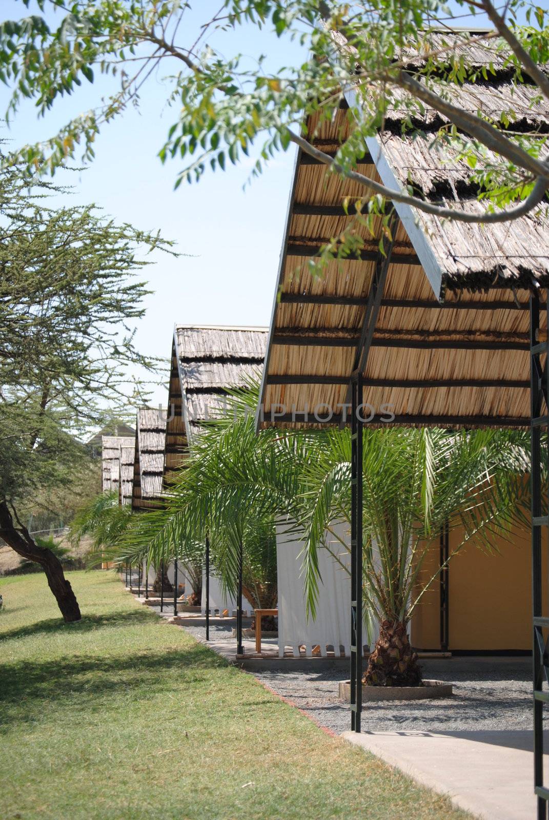 vacation huts on Sabana resort near Langano lake