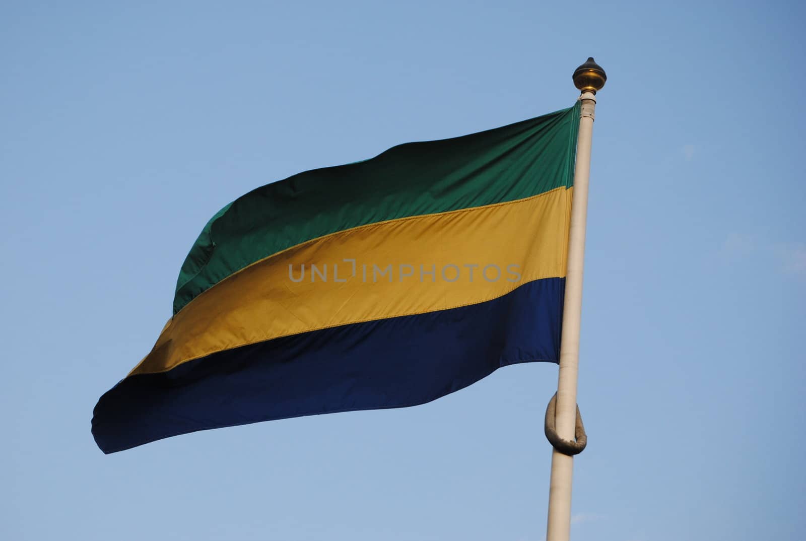 flag of gabon in west africa