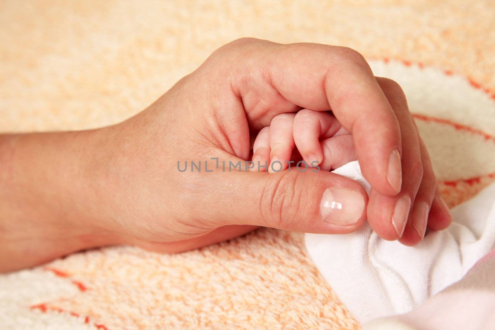 The image of hands of parent and the child