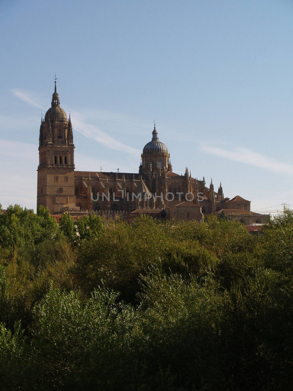 View on the cathedral of Salamanca, Spain.