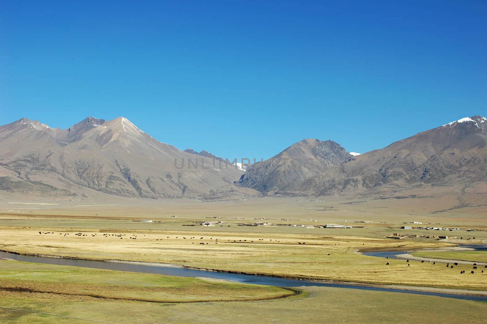 Landscape of mountains and pasture in Tibet