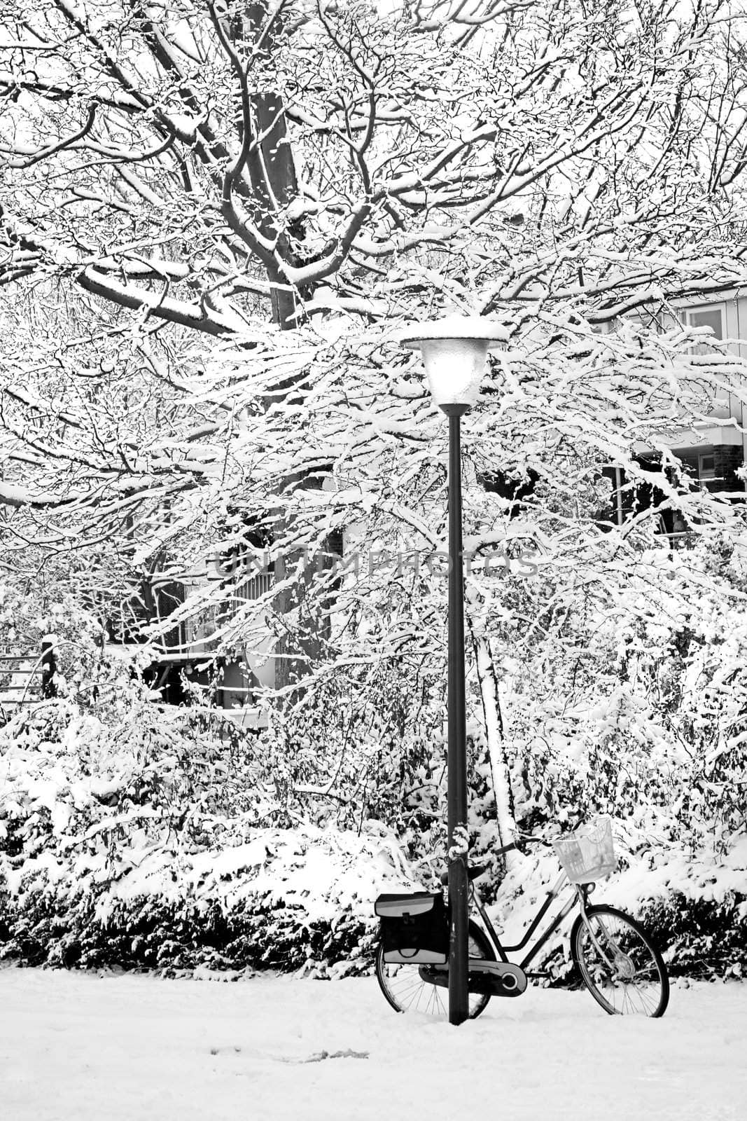 Streetview in snow with lamp-post and bike by Colette