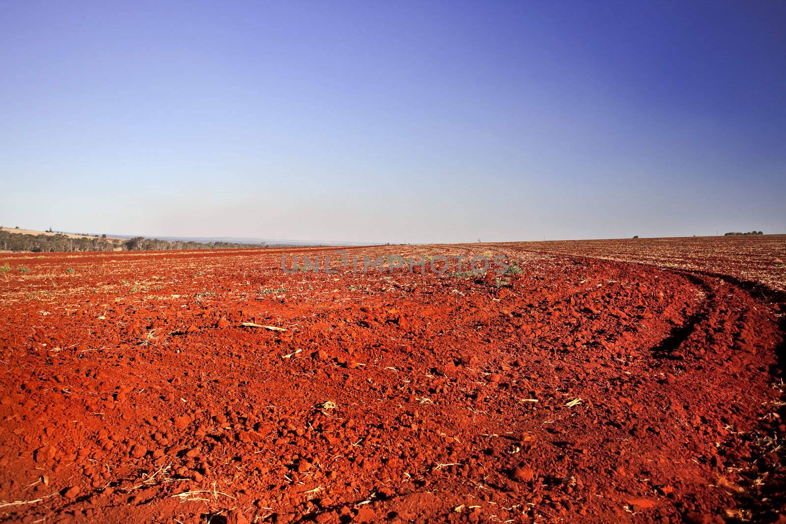 Dry and deserted desert field