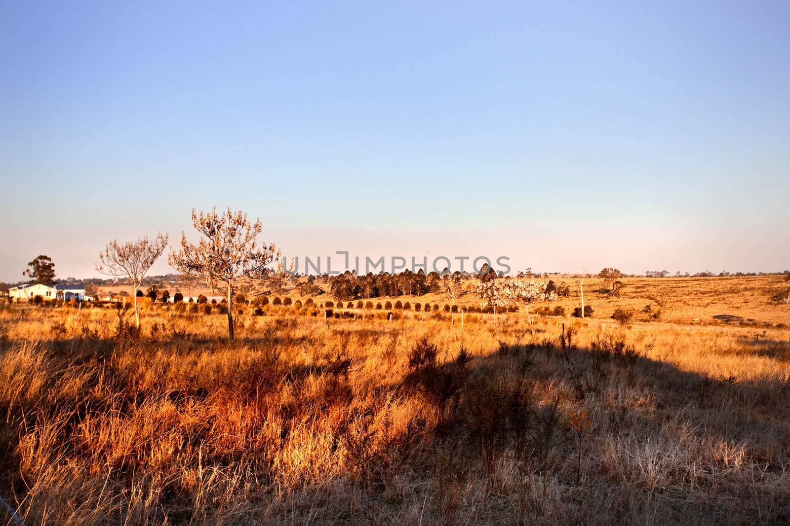 Old Dried out Farming Land