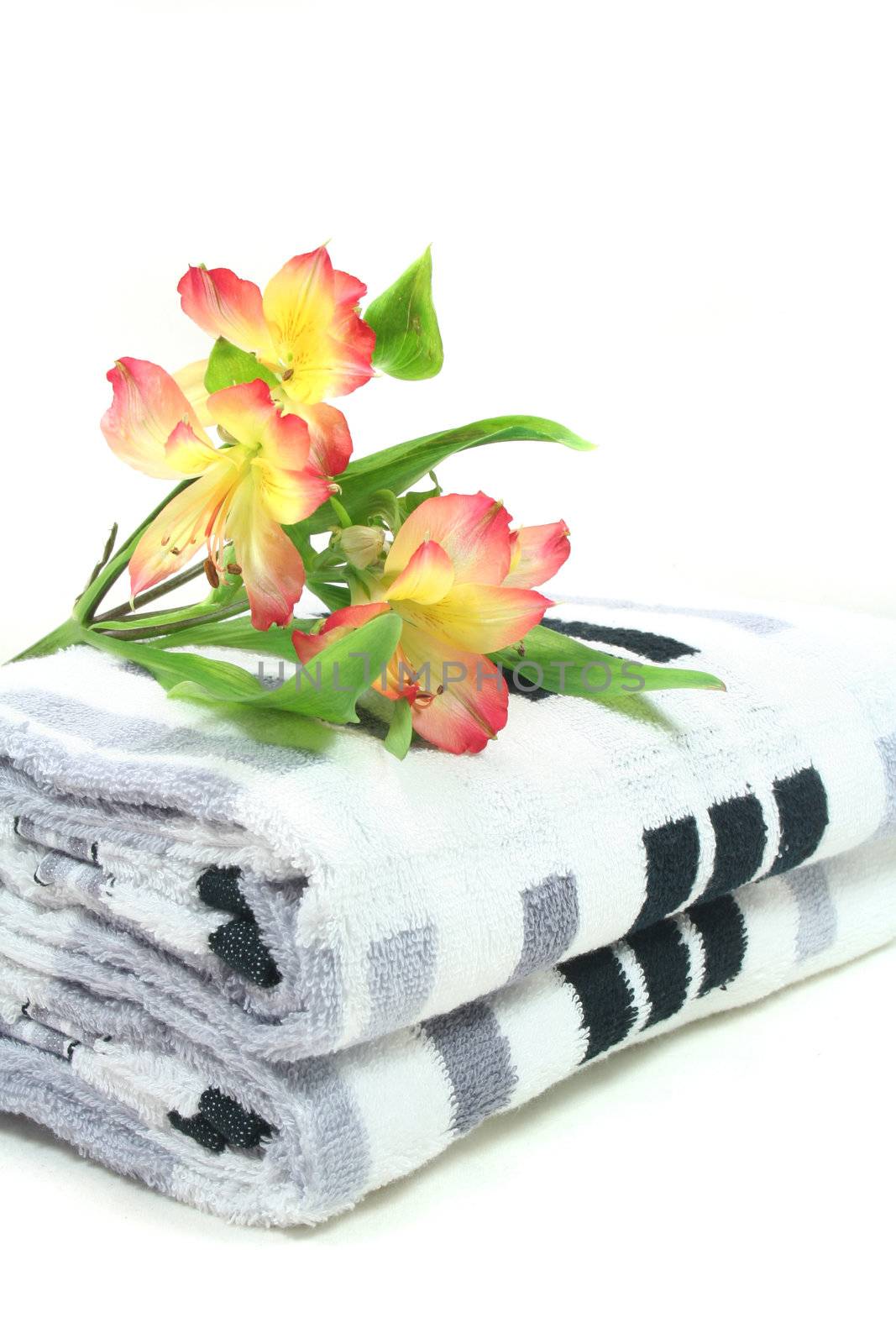 Wellness - flowers and towels - Personal Care