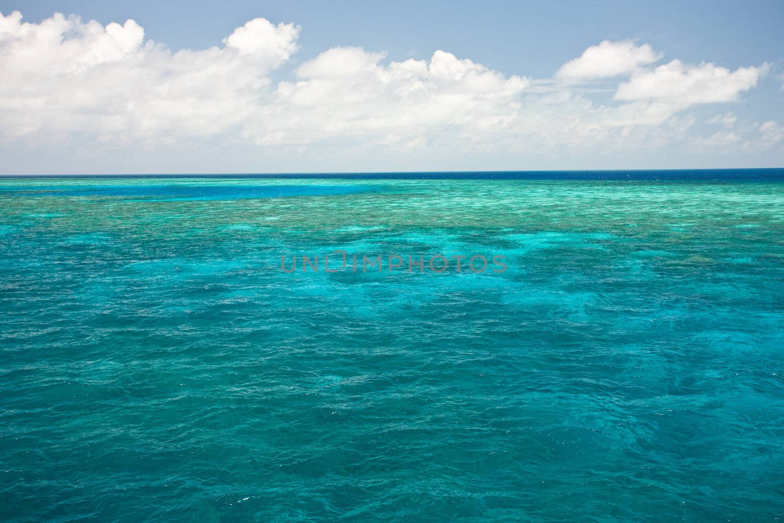 Ocean blue water with reef in the distance. 