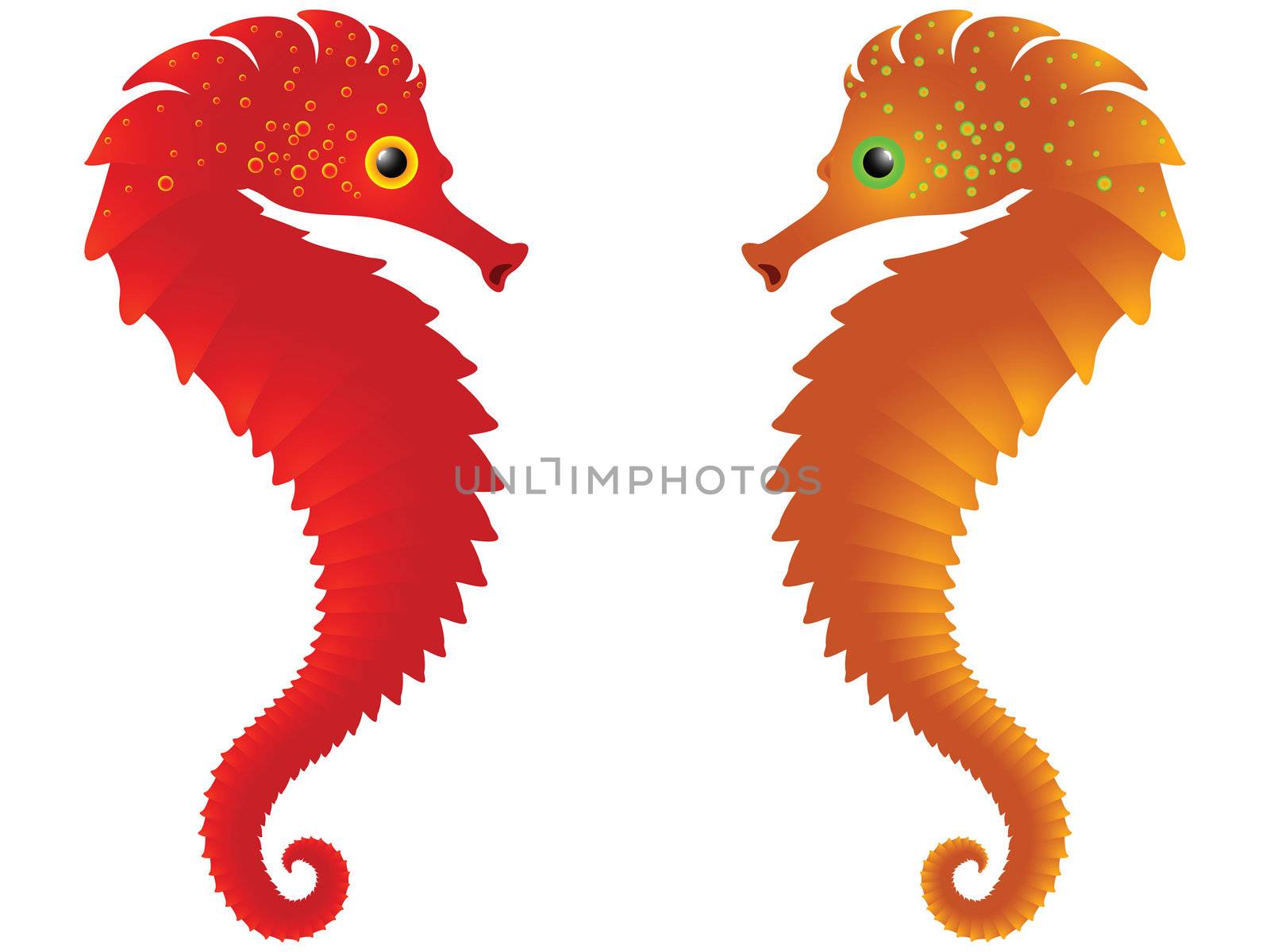 sea horses against white background, abstract vector art illustration