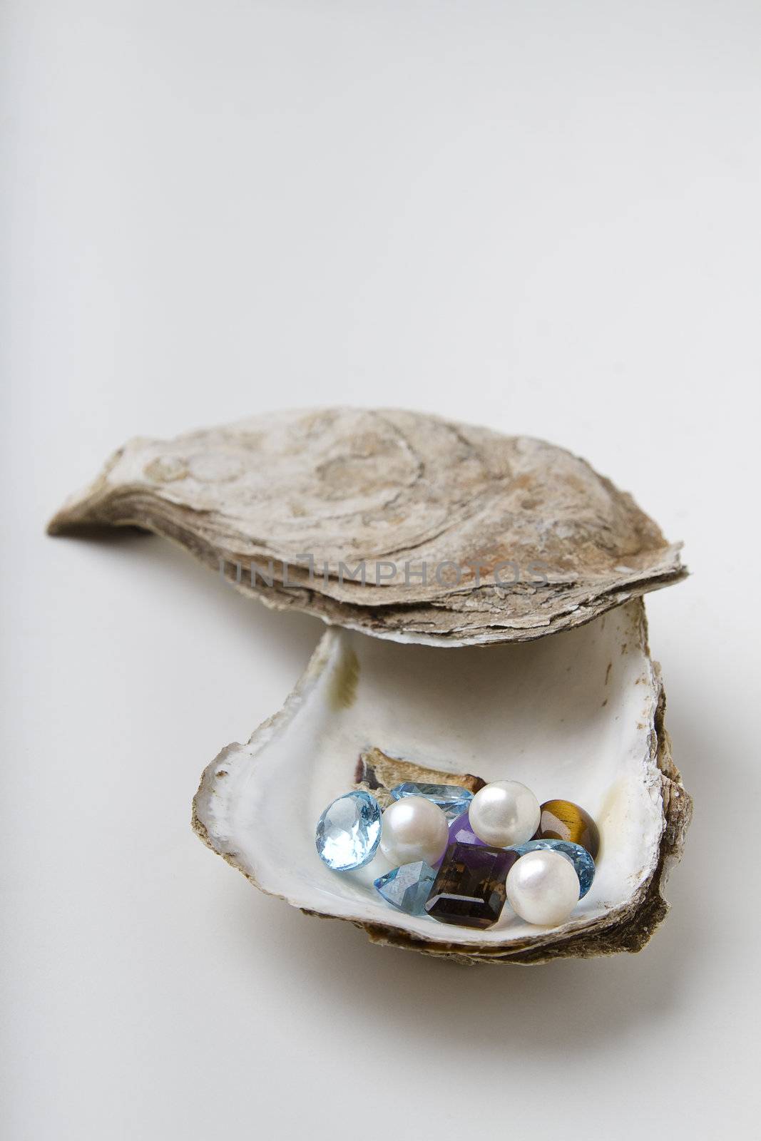 Treasure on a shell by mypstudio