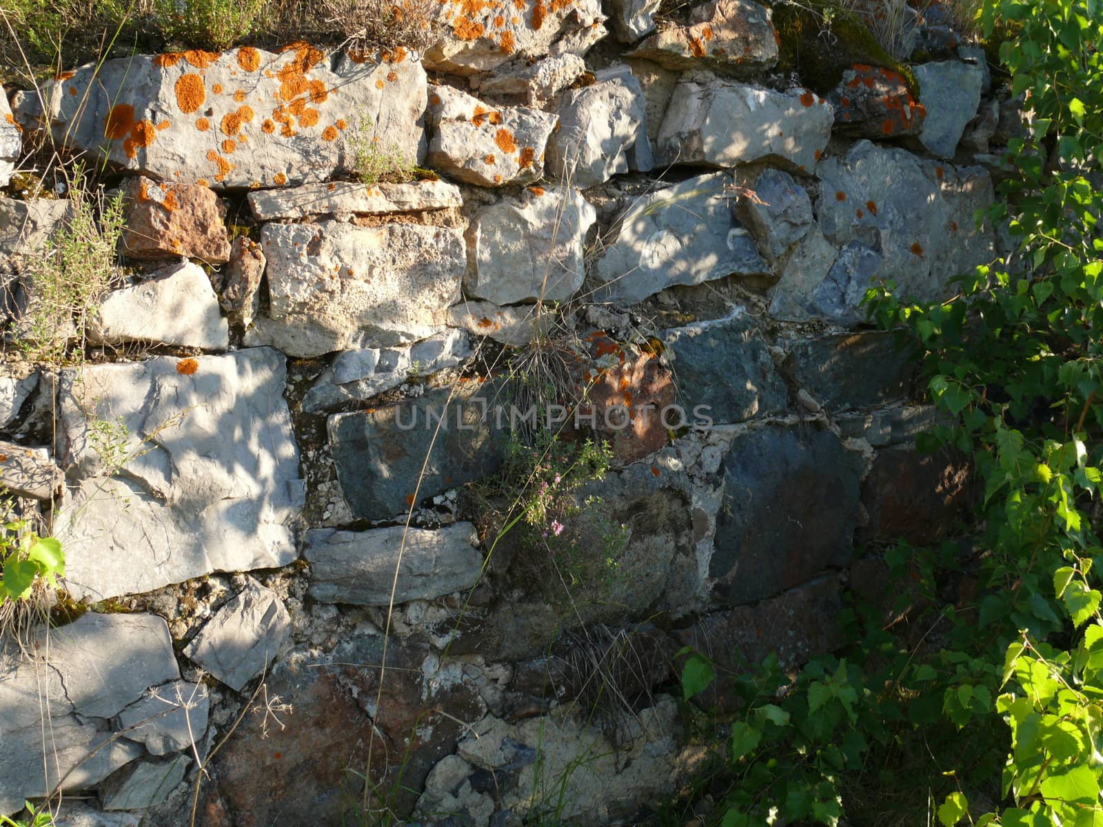 Texture of old stone wall by Stoyanov