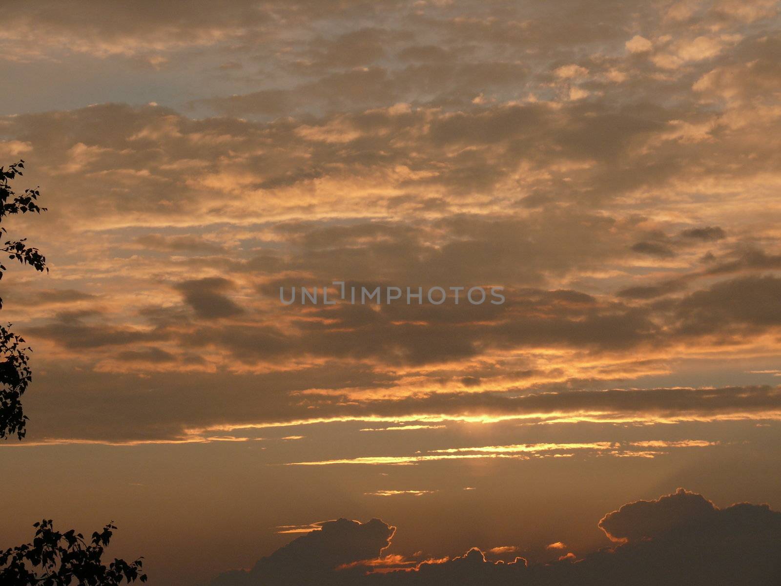 Orange sunset in the sky by Stoyanov