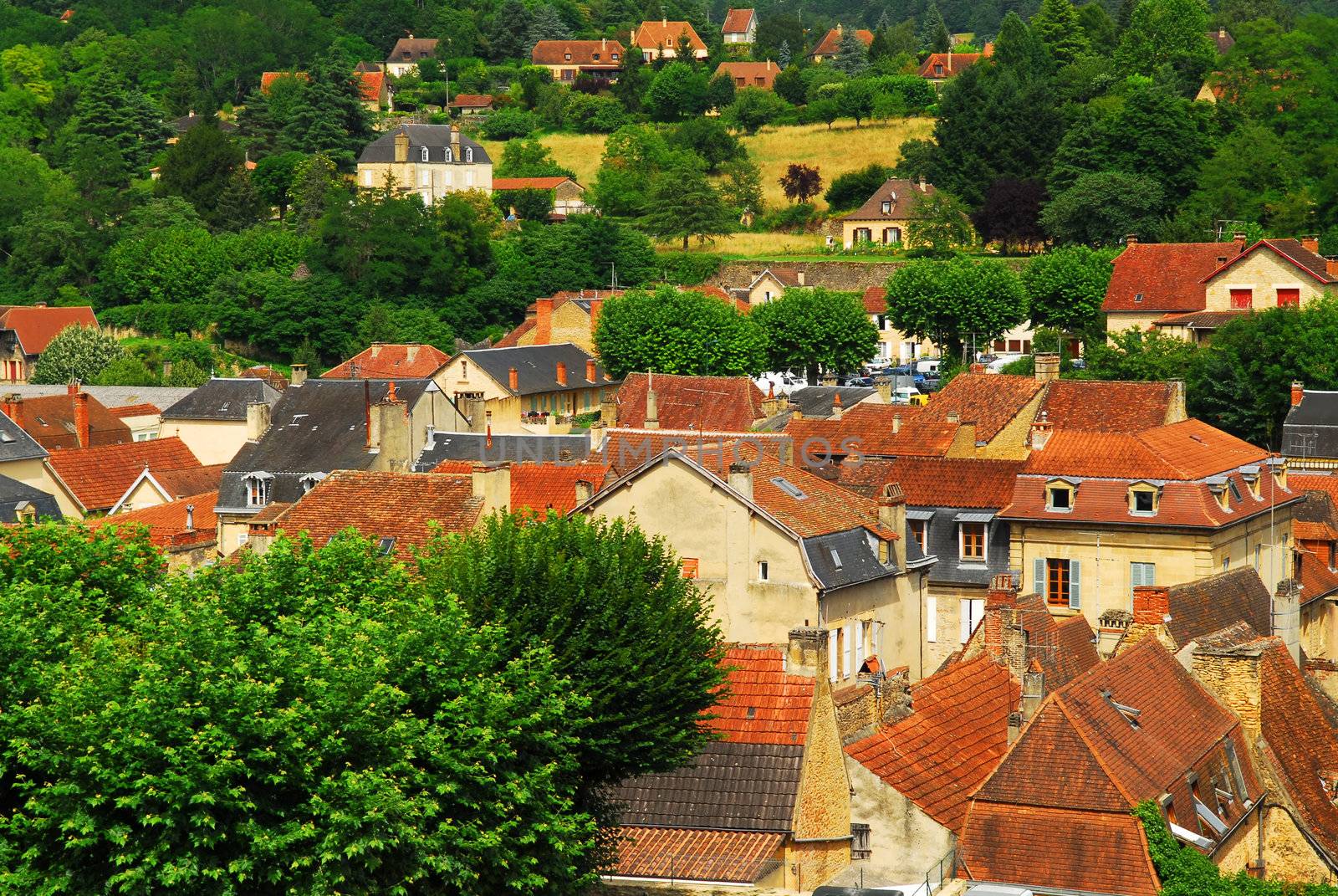Red rooftops of medieval houses in Sarlat, Dordogne region, France.