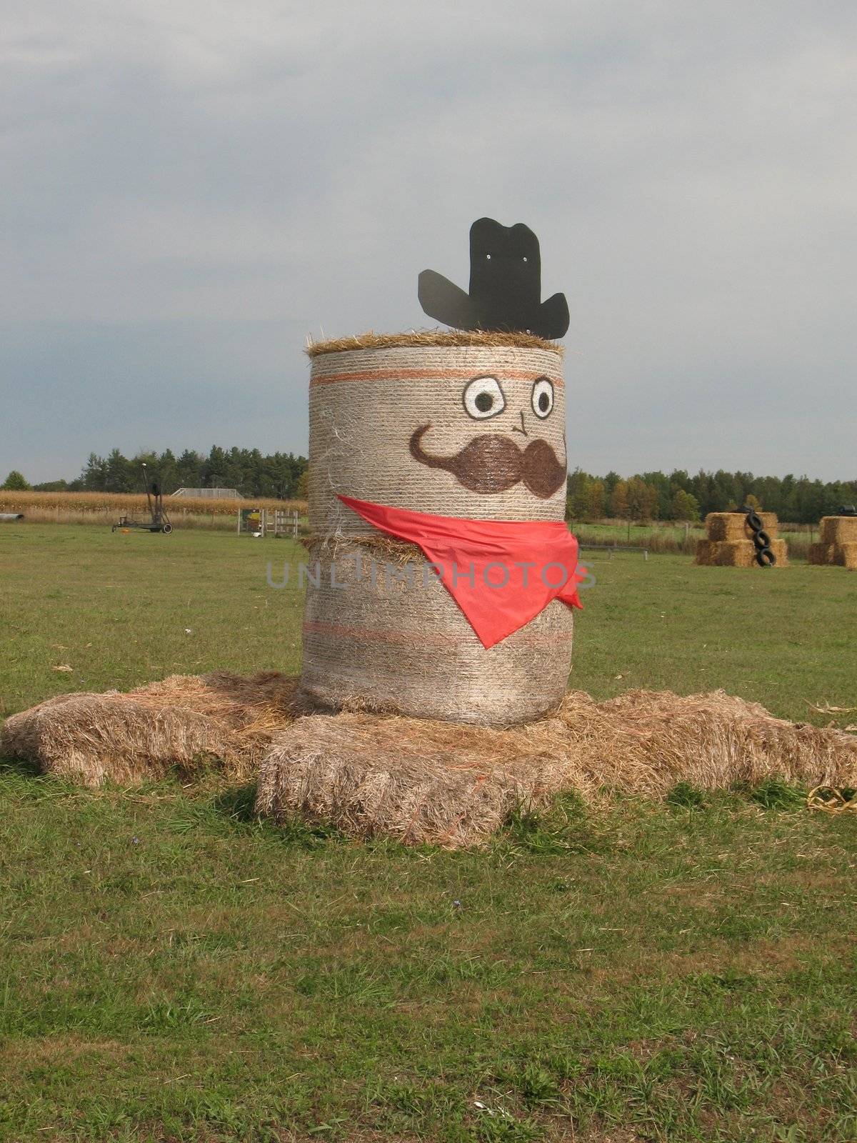 Hallowe'en figure made of rolls of hay at farm.