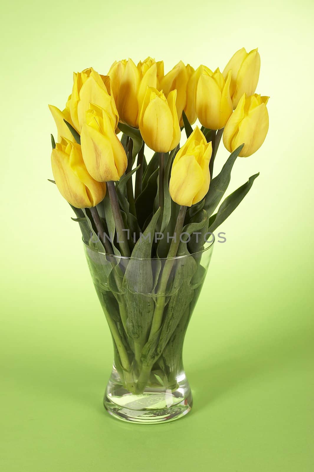 yellow bouquet