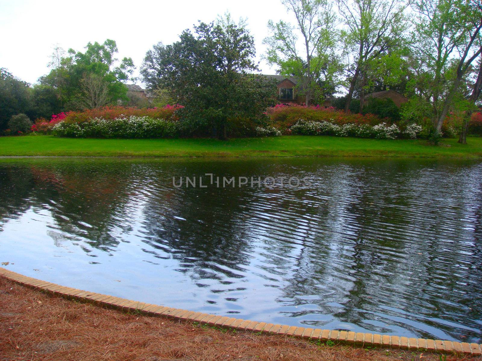 Gorgeous view of a pond and garden at Bellingrath Gardens and Home, Alabama.