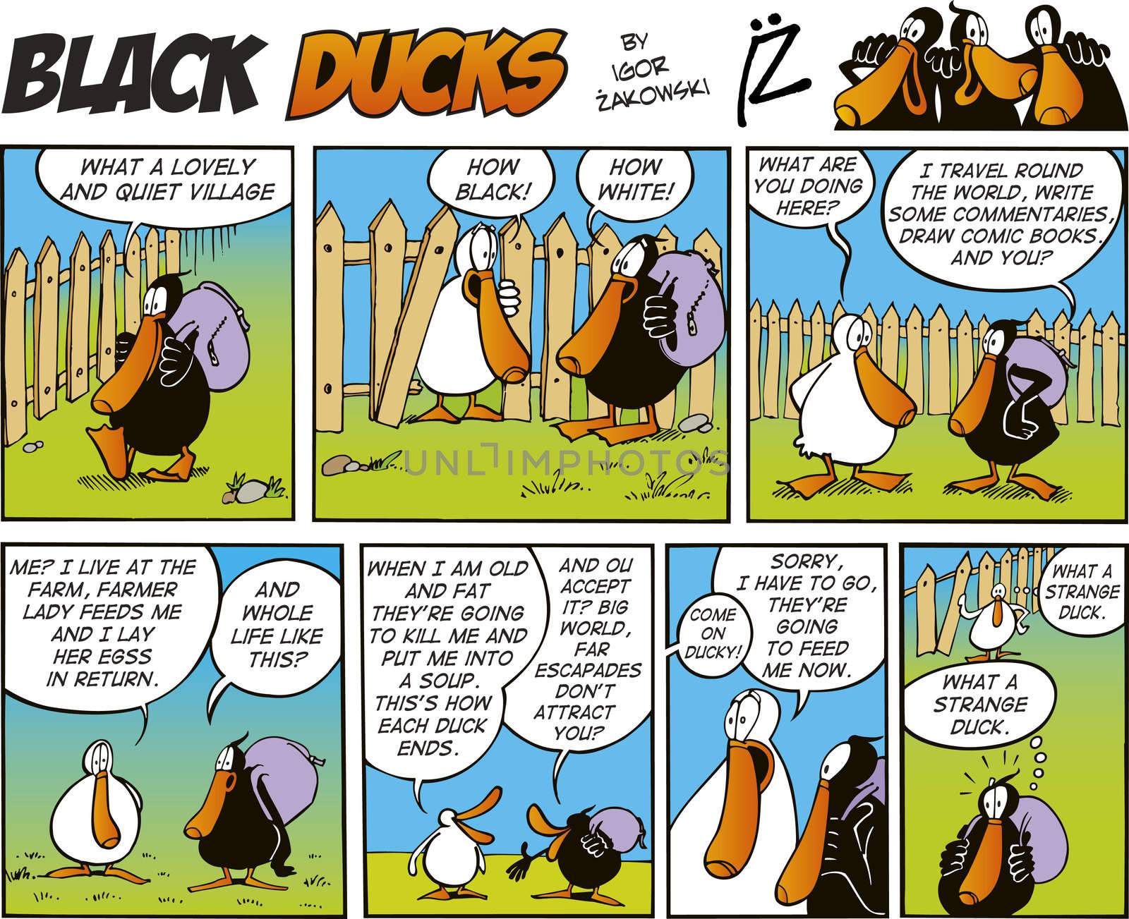 Black Ducks Comic Strip episode 4