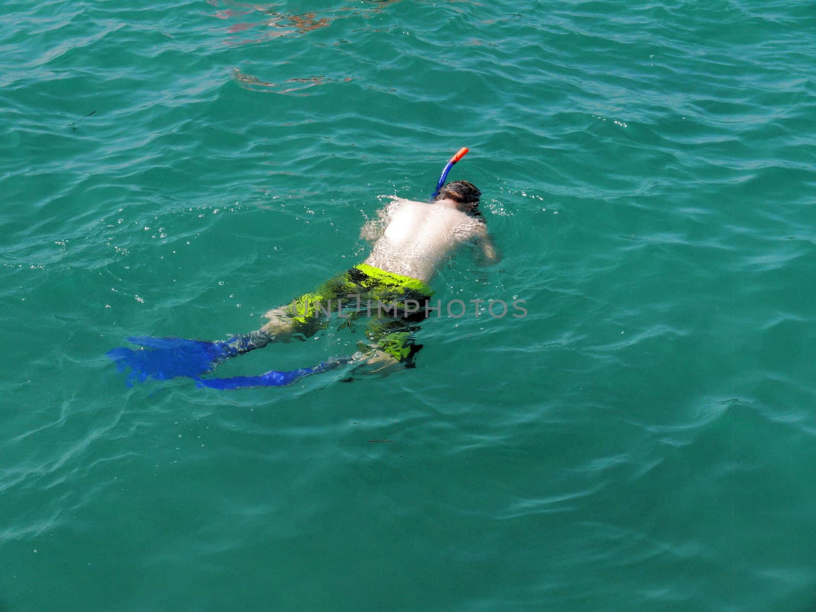 Young diver by Stoyanov