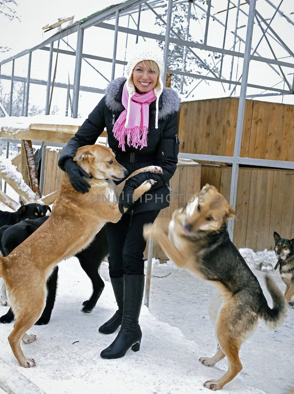 Shelter for stray dogs. A shelter of vagrant animals. Open-air cages for homeless dogs.